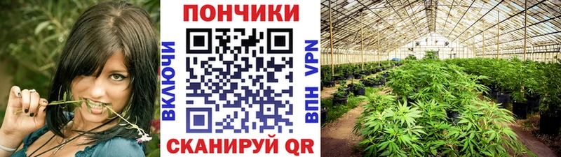 Бошки Шишки тримм Тырныауз